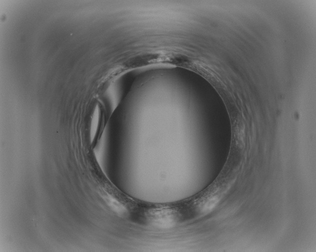 X0000073450219200608111358