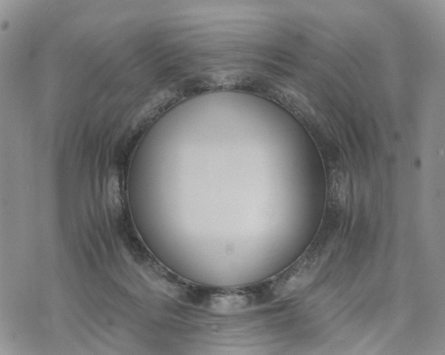 X0000073450220200608111358