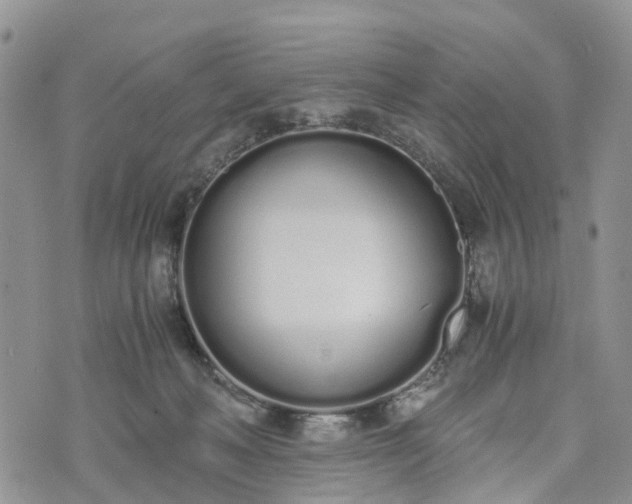 X0000073450222200608111358