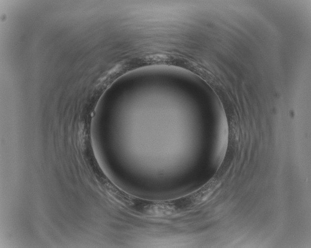 X0000073450223200608111358