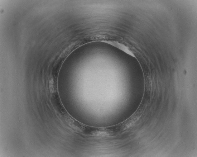 X0000073450224200608111358