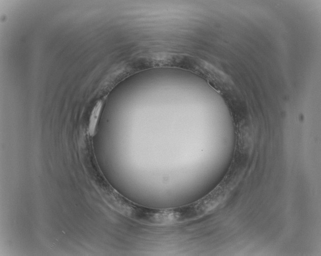 X0000073450225200608111358