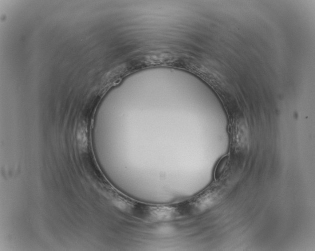 X0000073450226200608111358