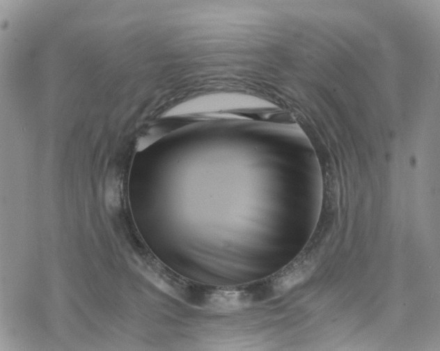 X0000073450227200608111358