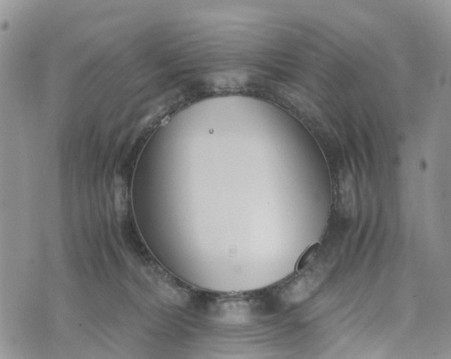 X0000073450228200608111358