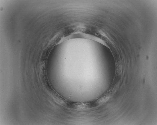 X0000073450229200608111358