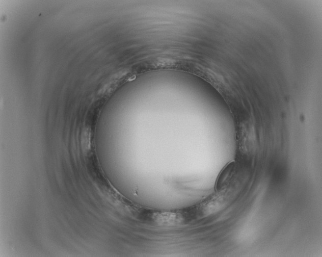 X0000073450230200608111358