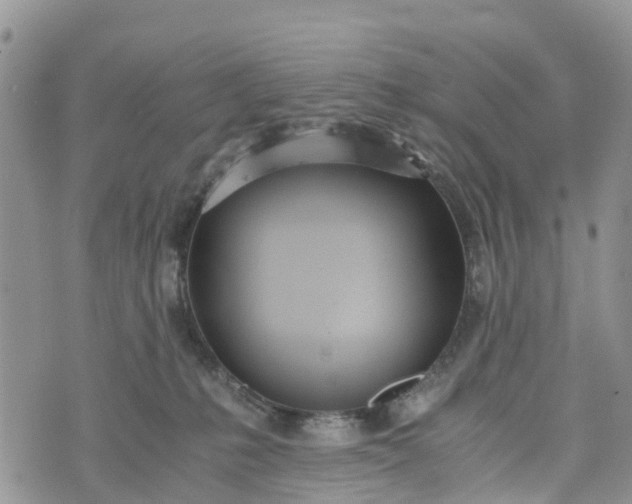 X0000073450231200608111358