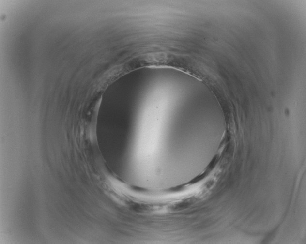 X0000073450233200608111358