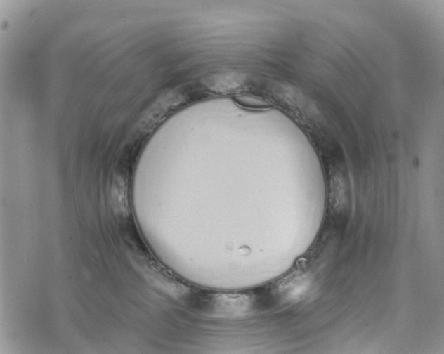 X0000073450234200608111358