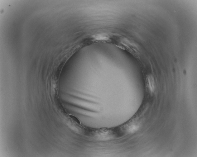 X0000073450235200608111358