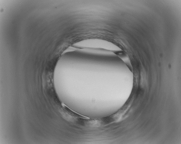 X0000073450237200608111358