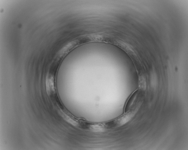 X0000073450238200608111358