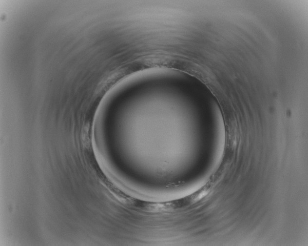 X0000073450239200608111358