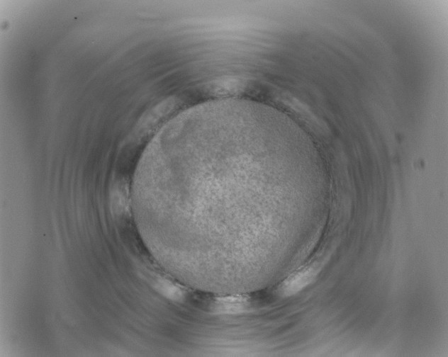 X0000073450240200608111358