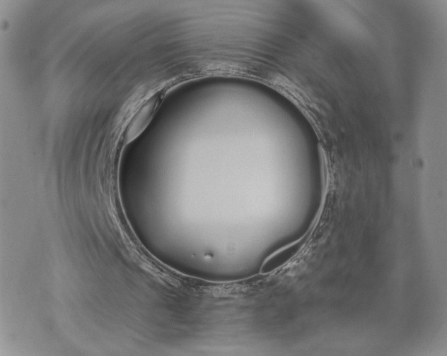 X0000073450241200608111357