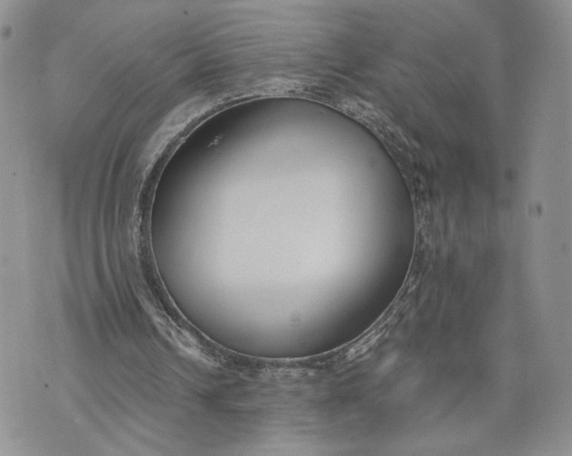 X0000073450242200608111357