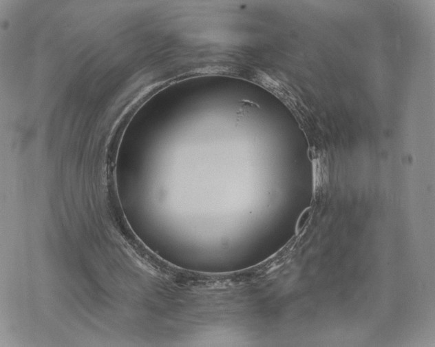 X0000073450243200608111357