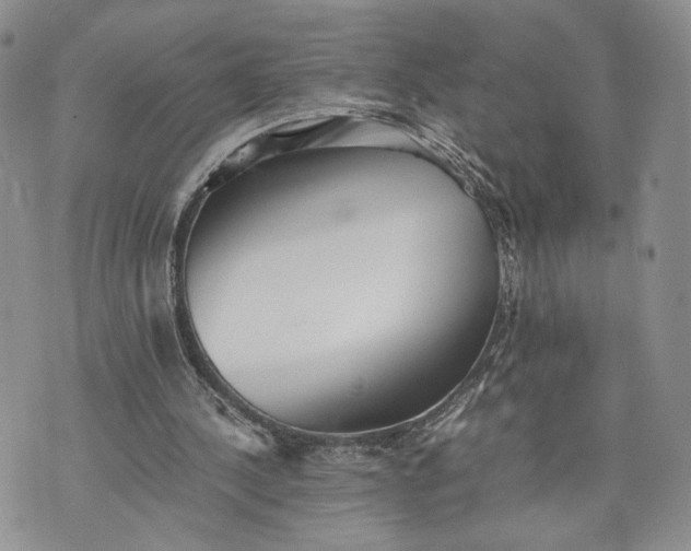 X0000073450244200608111357