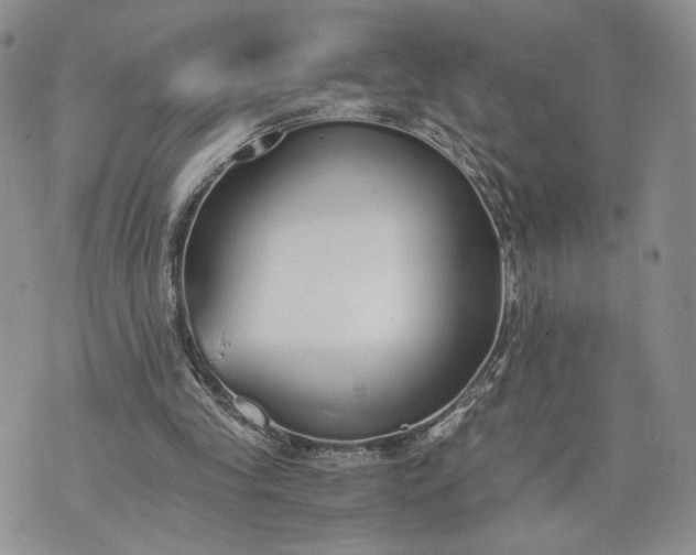 X0000073450245200608111357