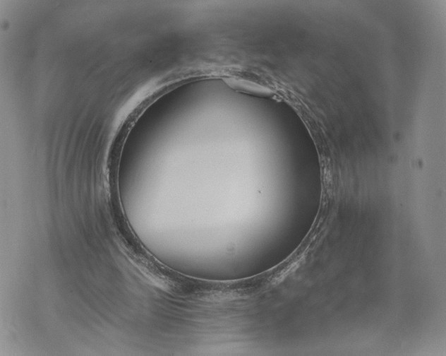 X0000073450246200608111357