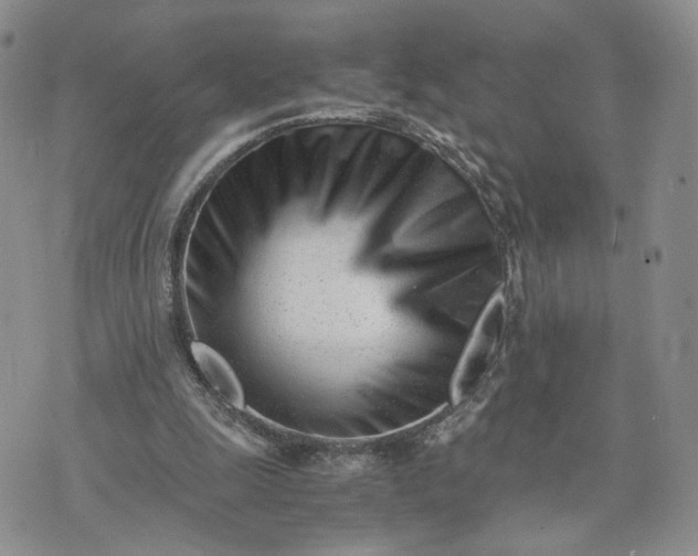 X0000073450247200608111357