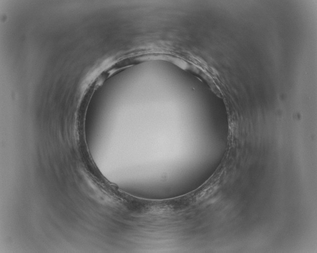 X0000073450248200608111357