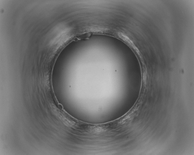 X0000073450249200608111357