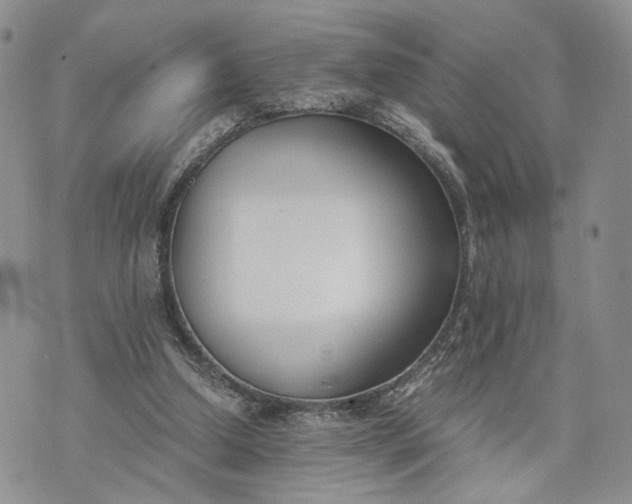 X0000073450250200608111357