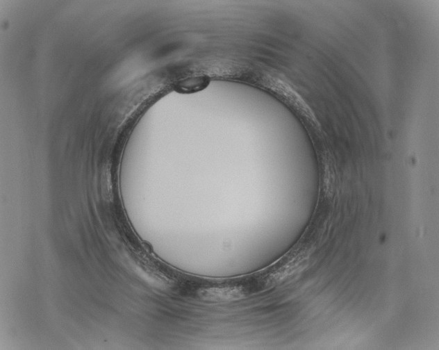 X0000073450251200608111357