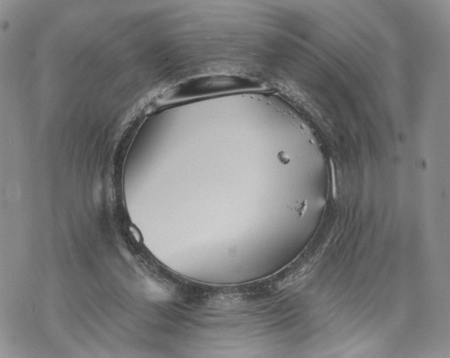 X0000073450252200608111357