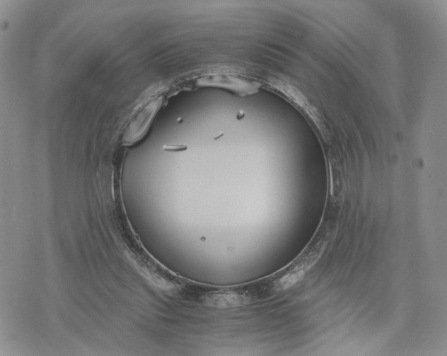 X0000073450253200608111357