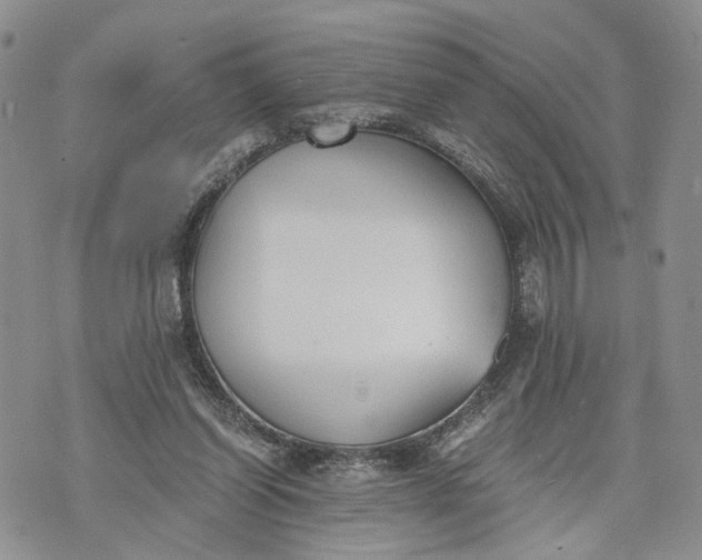 X0000073450254200608111357