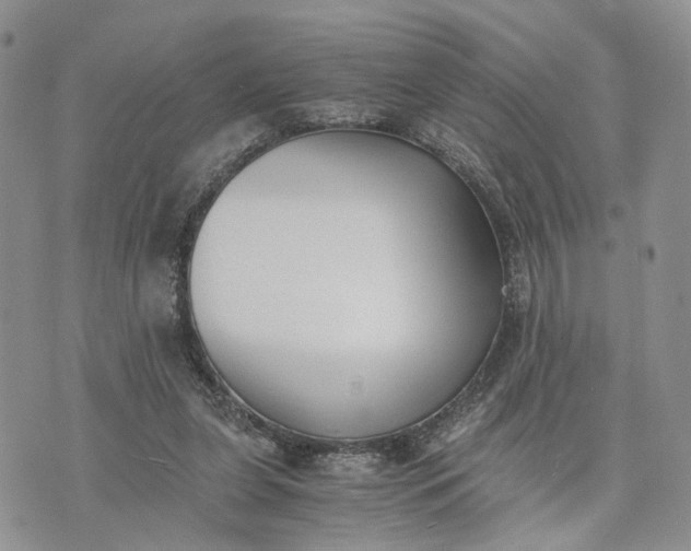 X0000073450255200608111357