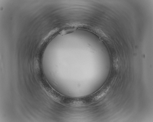 X0000073450256200608111357