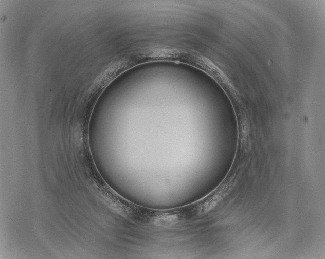 X0000073450257200608111357