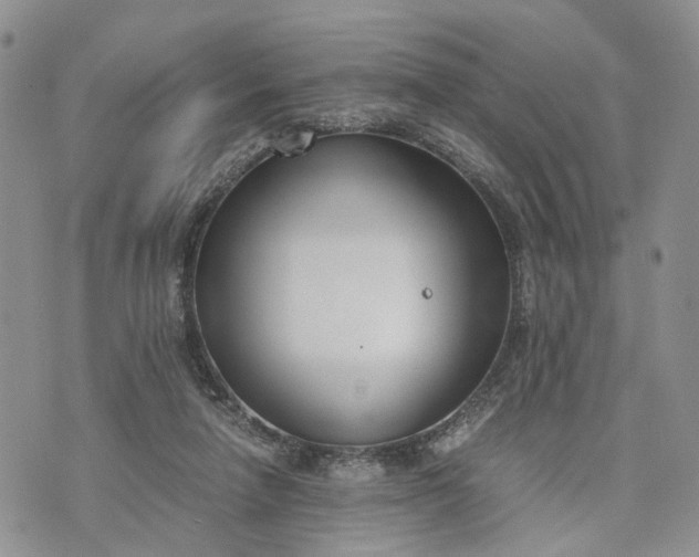 X0000073450258200608111357