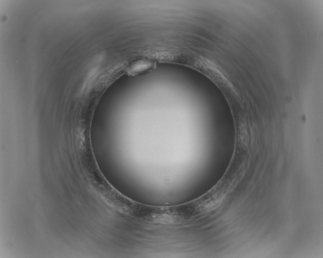 X0000073450259200608111357