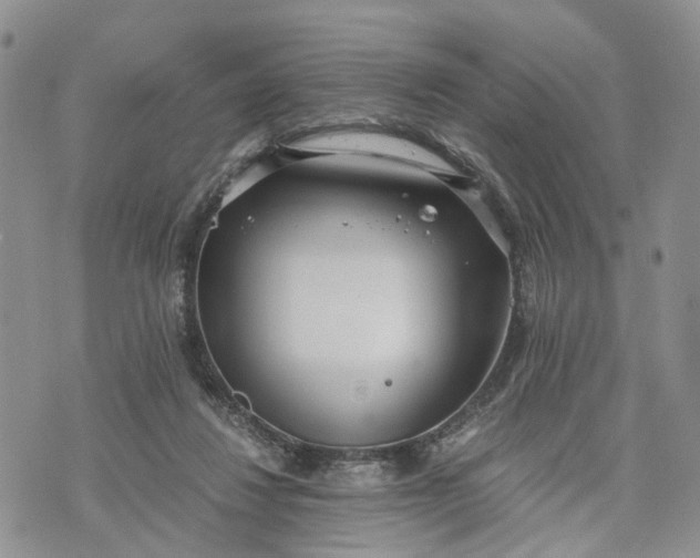 X0000073450260200608111357