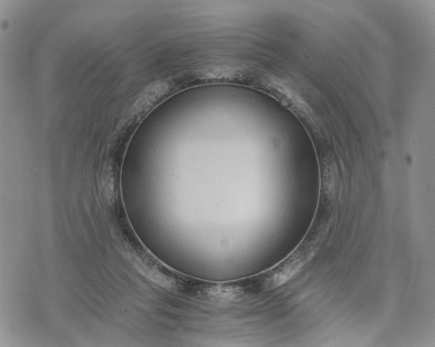 X0000073450261200608111357