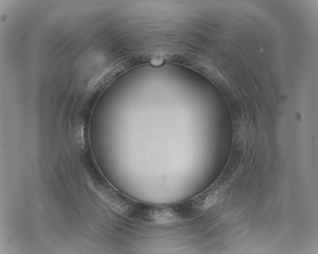 X0000073450262200608111357