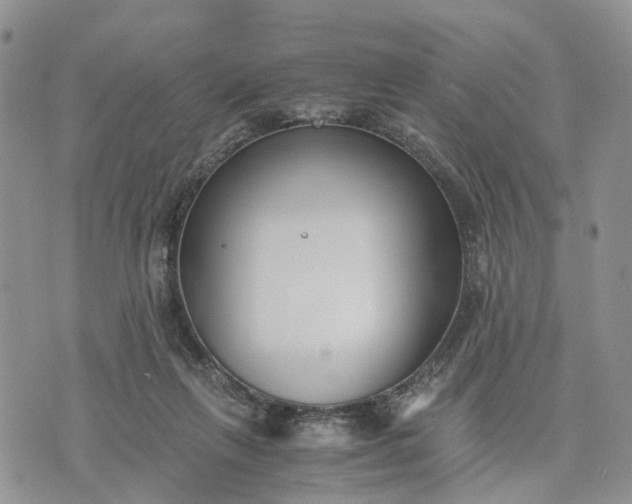 X0000073450263200608111357