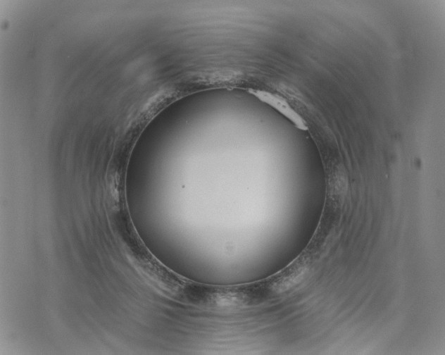 X0000073450264200608111357