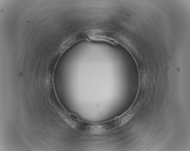 X0000073450265200608111357