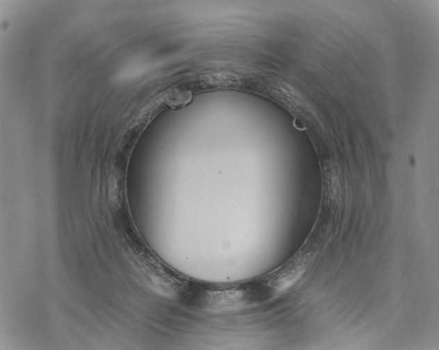 X0000073450266200608111357