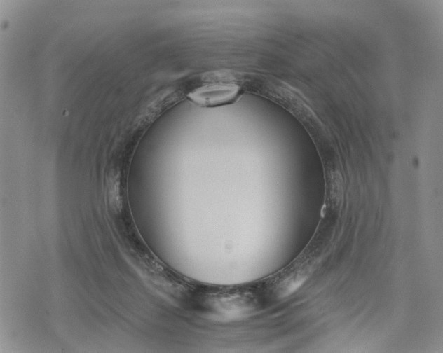 X0000073450267200608111357