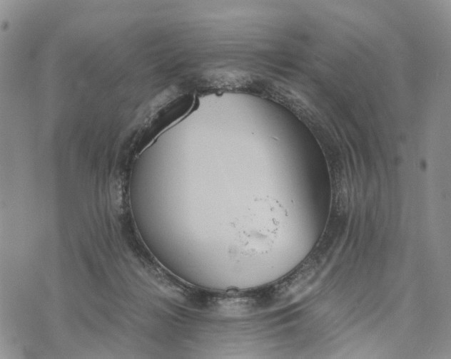 X0000073450268200608111357