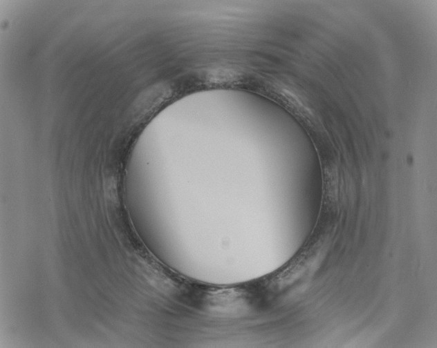 X0000073450269200608111357