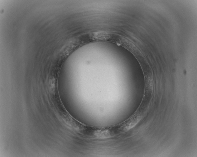 X0000073450271200608111357