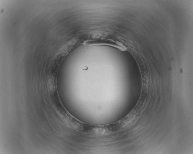 X0000073450272200608111358